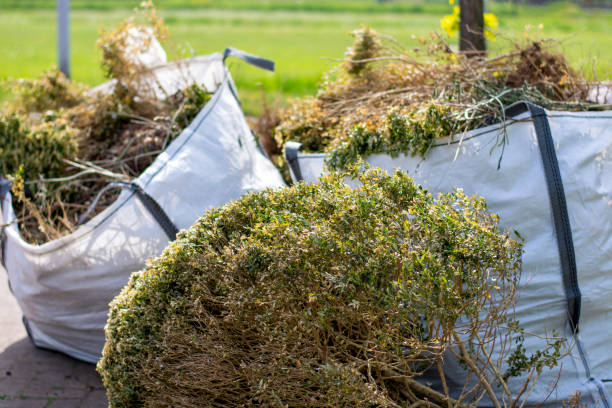 Best Dumpster Rental Services  in Carrabelle, FL